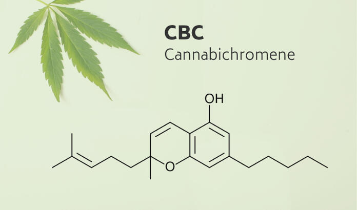 Discover CBC: The Unsung Cannabinoid for Calm, Mood, and Balance