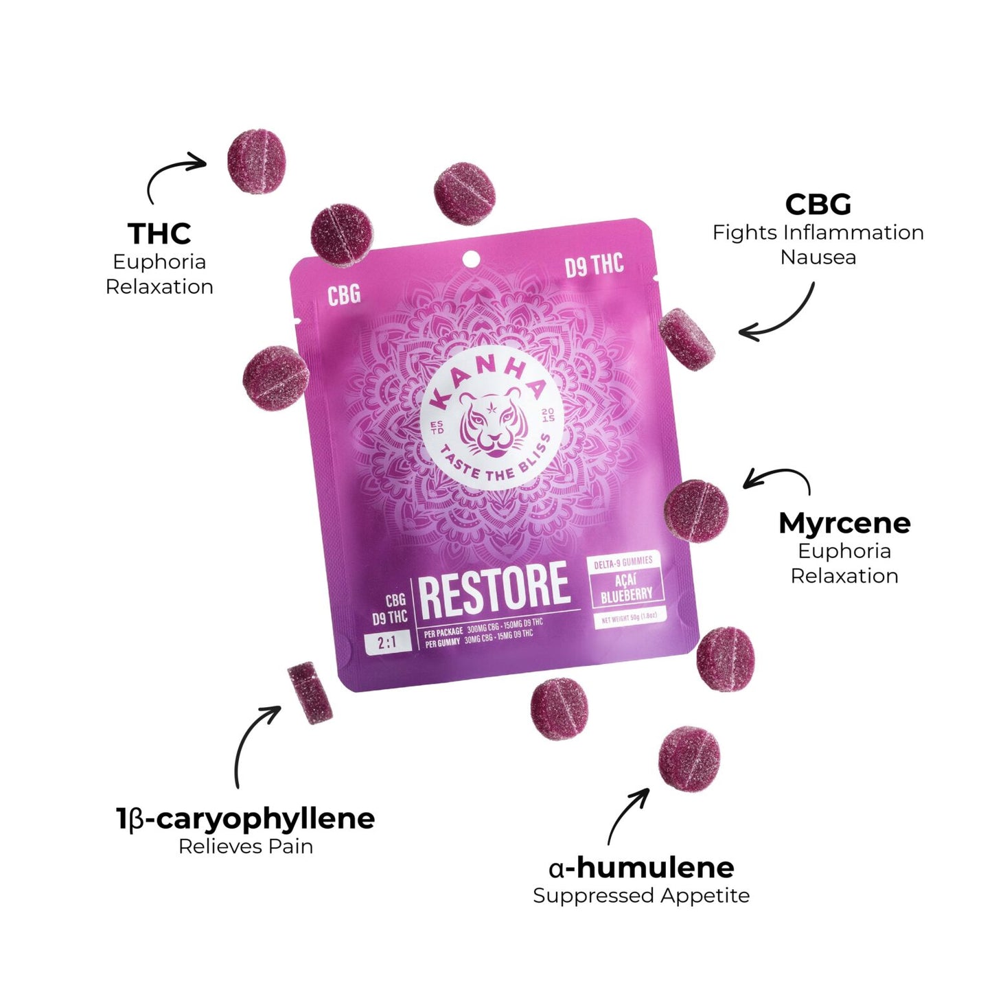 Kanha FX Restore Acai Blueberry THC Gummies