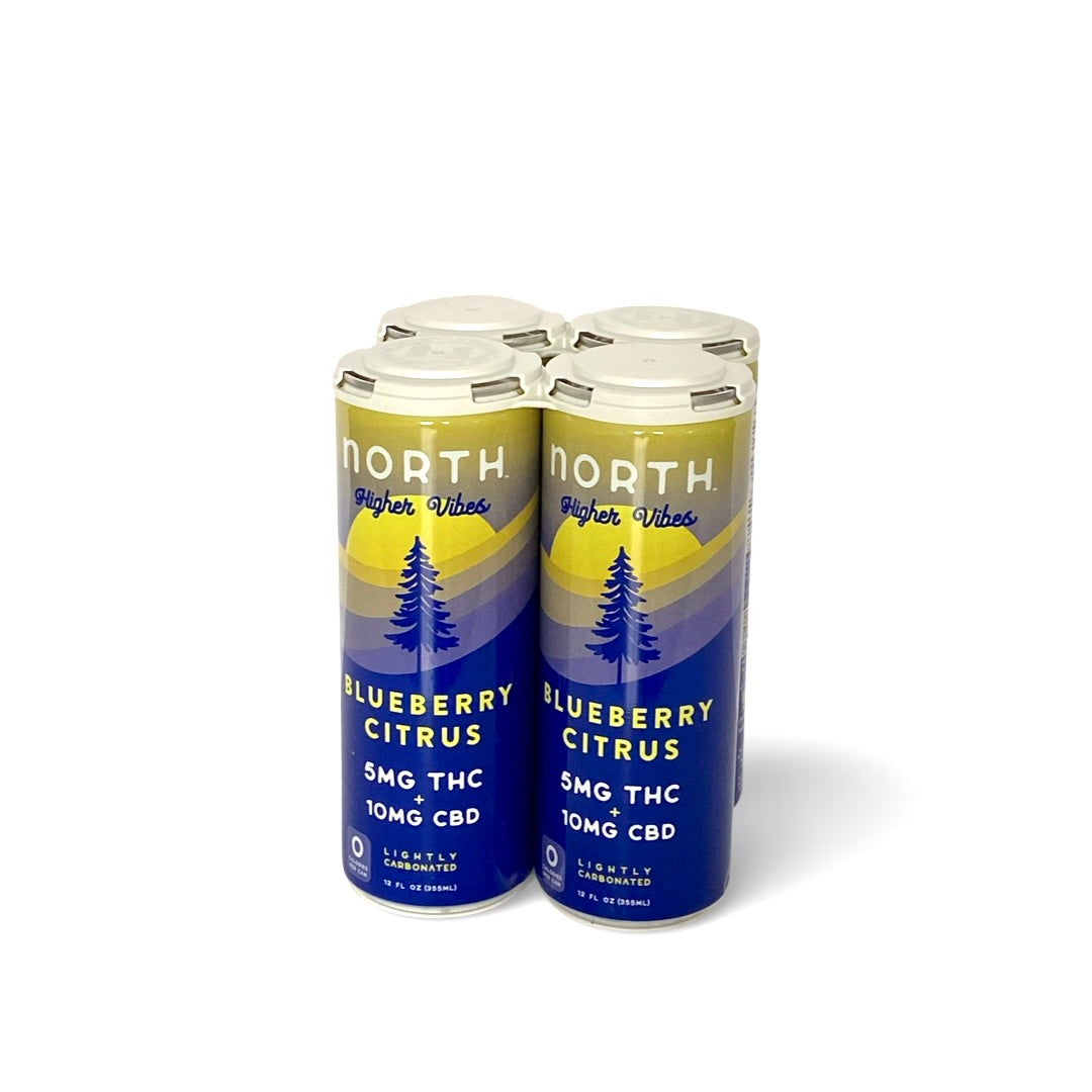 NORTH Higher Vibes 5mg D9 THC CBD Seltzer | Blueberry