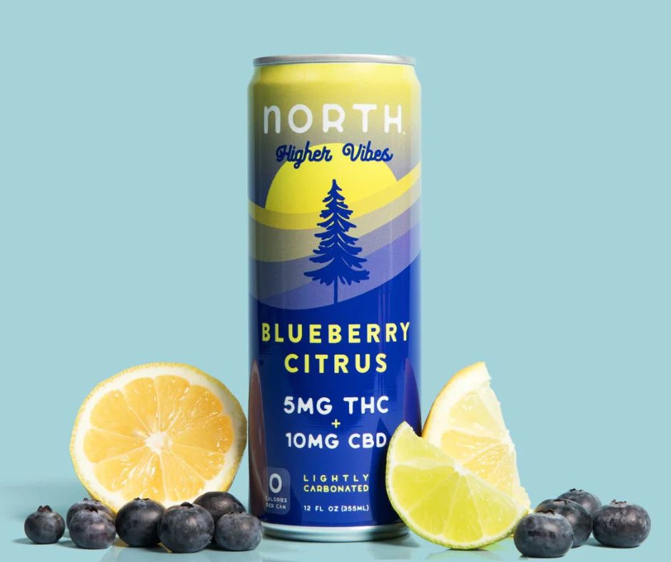 NORTH Higher Vibes 5mg D9 THC CBD Seltzer | Blueberry
