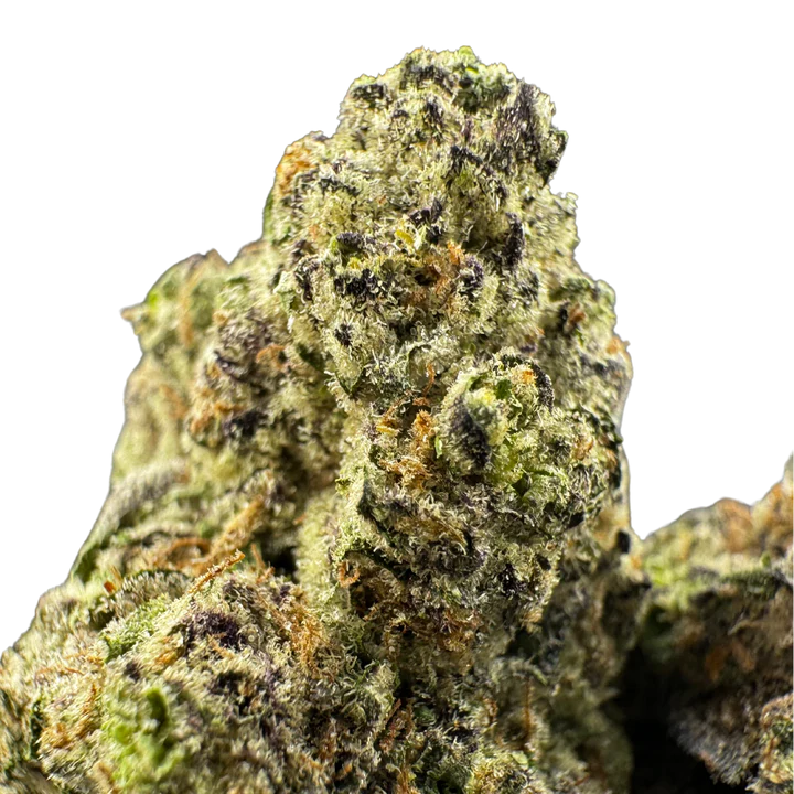 Sweet Heat Orange Push Pop (Hybrid)