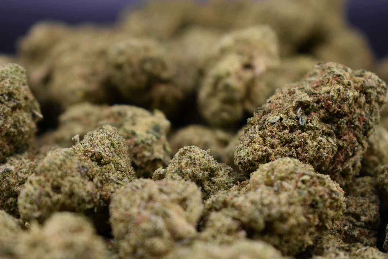 Sweet Heat Sour Diesel (Hybrid)