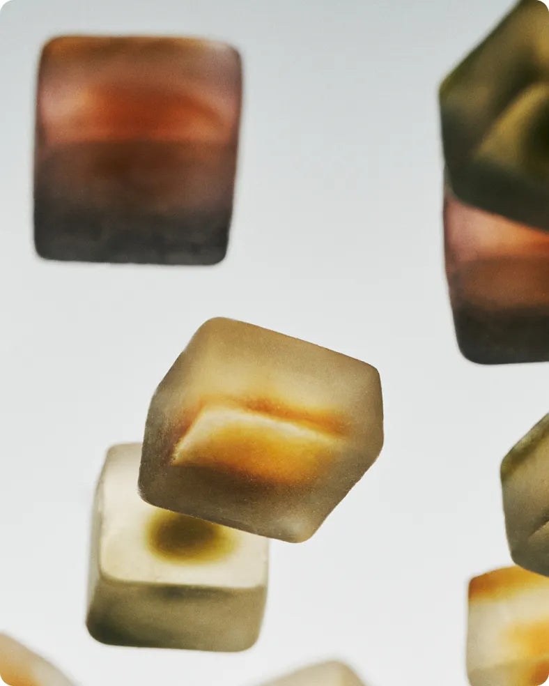 NOON Mushroom Gummy Delights | Sleep
