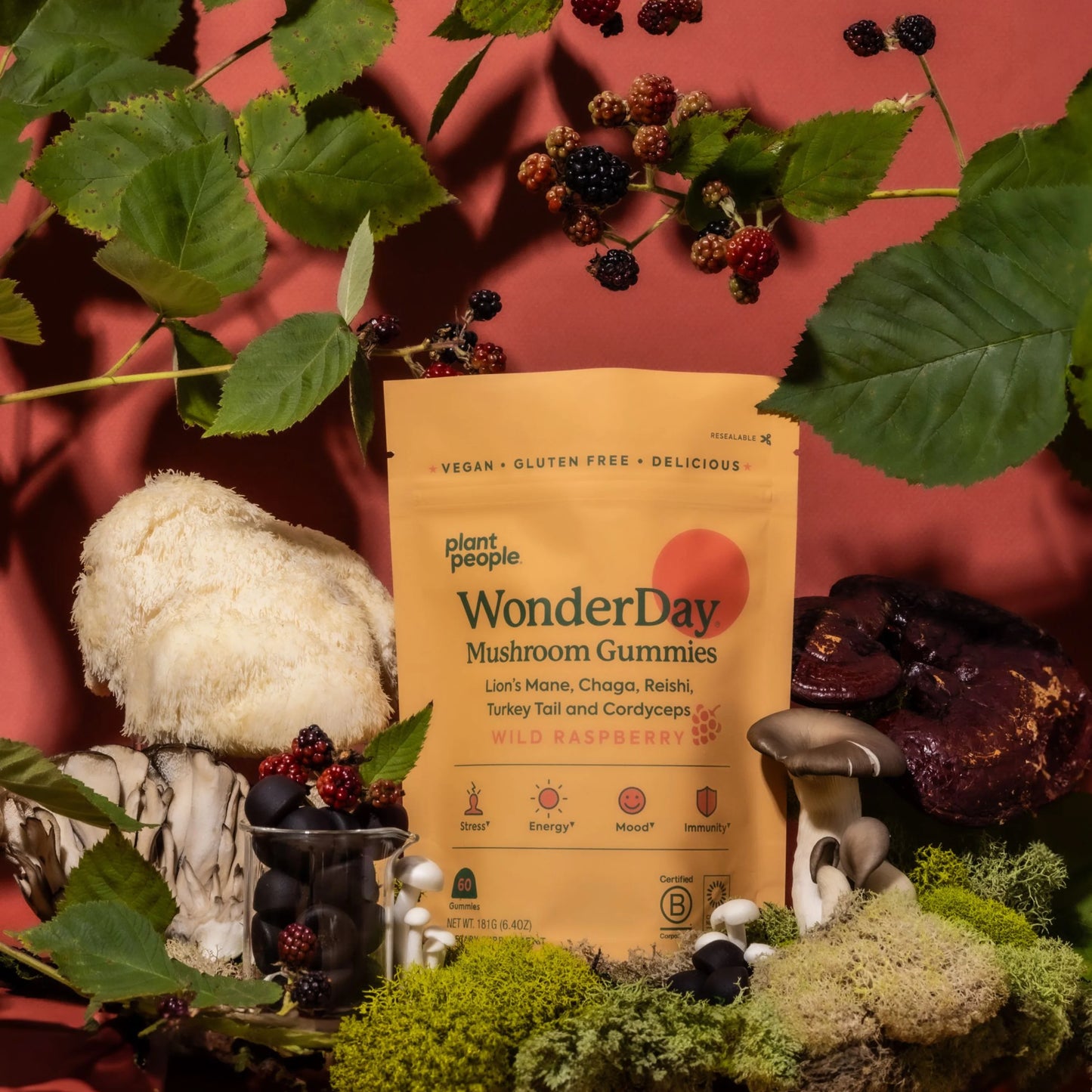 Plant People WonderDay 蘑菇软糖