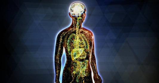 What Is Endocannabinoid System (ECS)?