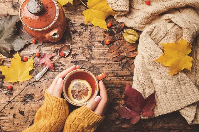 Why Your Immune System Dips in Fall & Winter (And How to Support It Naturally)