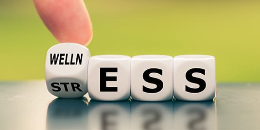 Be the Change: Navigating Stress in 2026 with Science and CBD