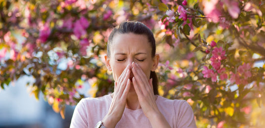How to Combat Spring Allergies Naturally: A Guide to CBD, Medicinal Mushrooms, and Holistic Relief