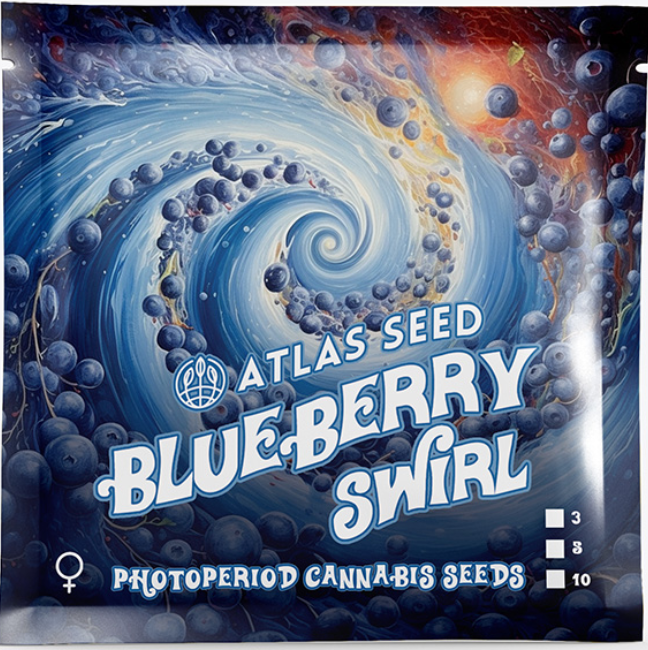 Atlas Seed Blueberry Swirl image 1