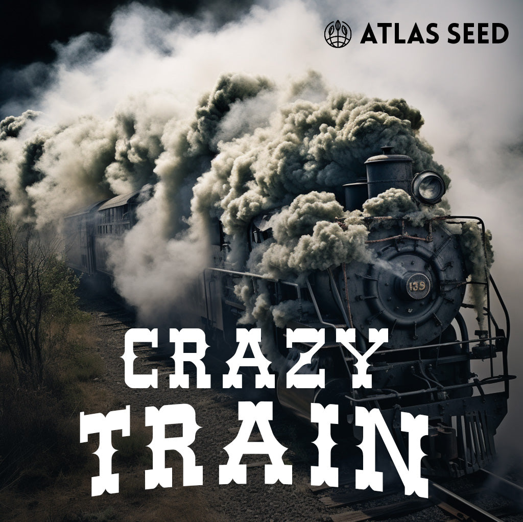 Atlas Crazy Train Hybrid