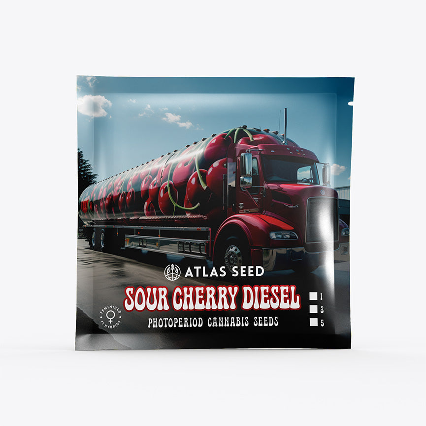 Atlas Sour Cherry Diesel | Hybrid