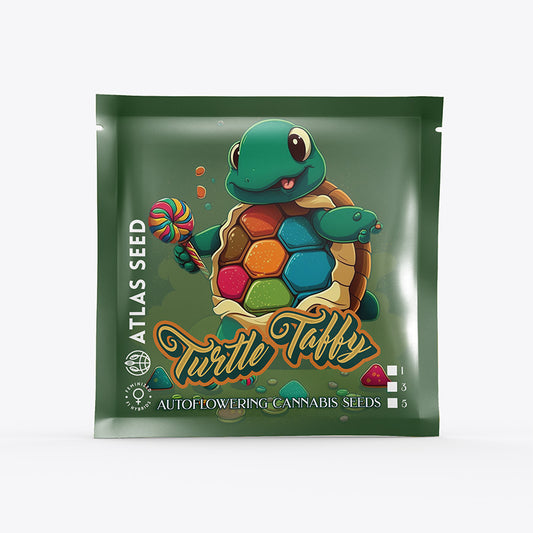 Atlas Turtle Taffy | Indica