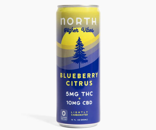 NORTH Higher Vibes 5mg D9 THC CBD Seltzer | Blueberry