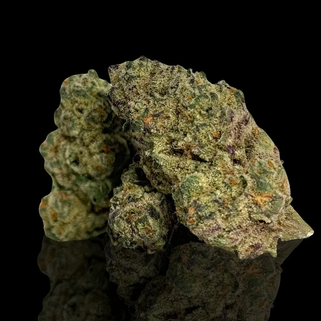 Sweet Heat Panama Red (Sativa)