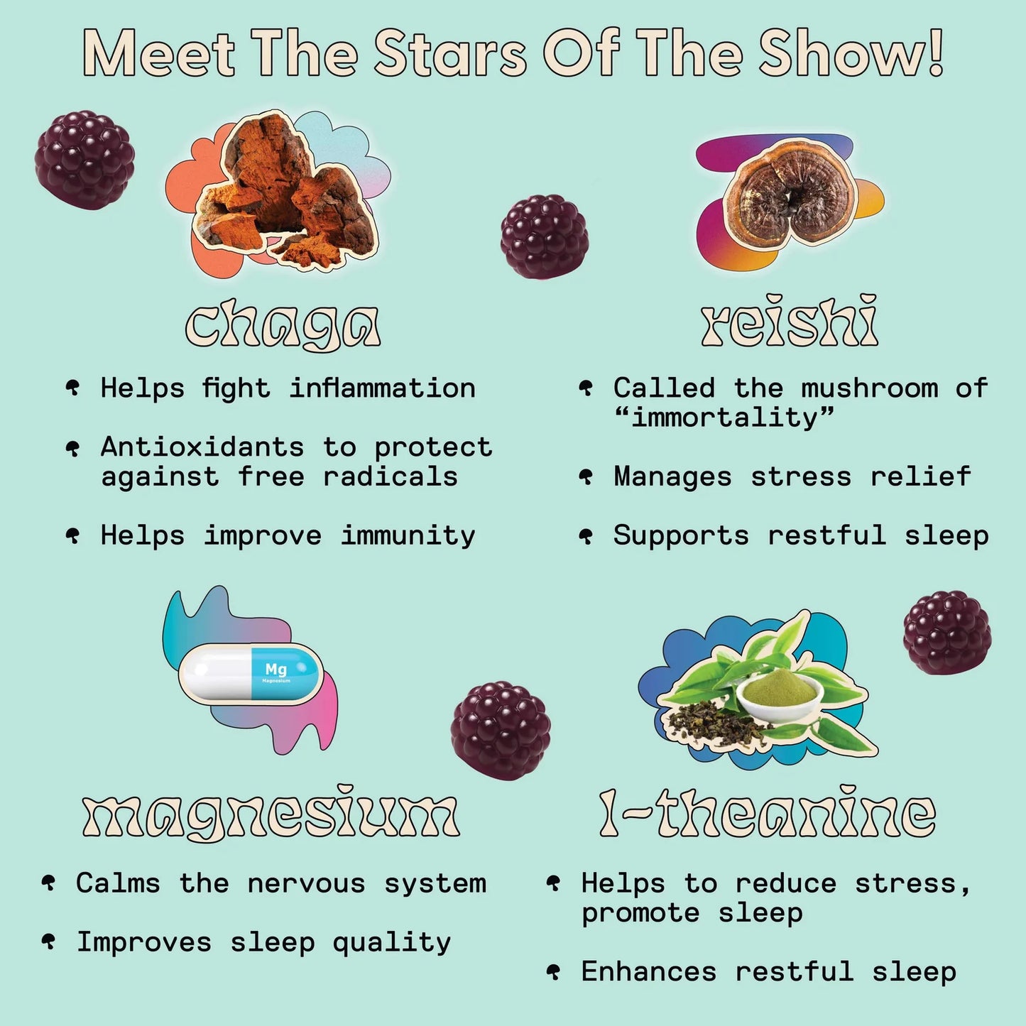 SuperMush Daily Sleep Mushroom Gummies
