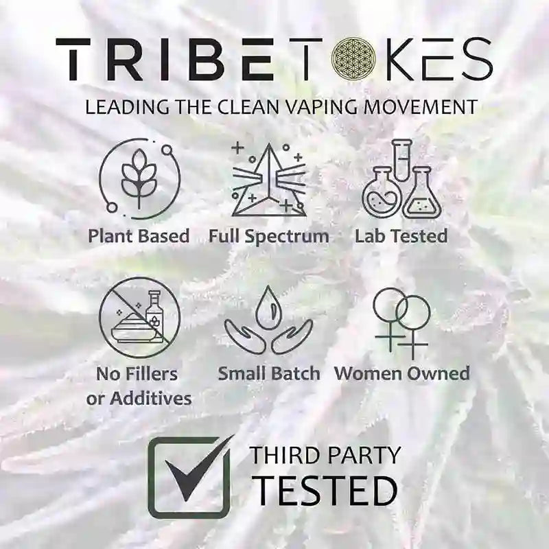 TribeTokes Saber Key Fob Vape Battery – Car Key Design | OLED Display