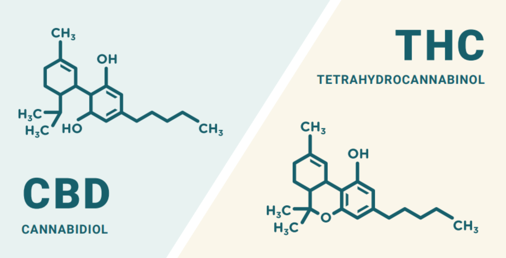 What Are the Side Effects of CBD and THC? - Kota Botanics